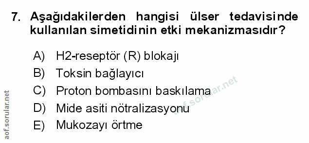 Soru 7