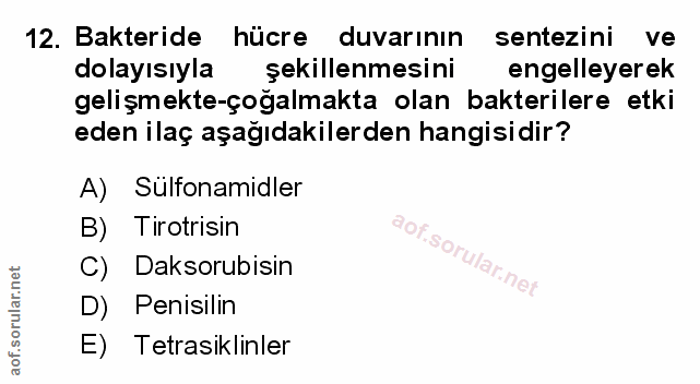 Soru 12