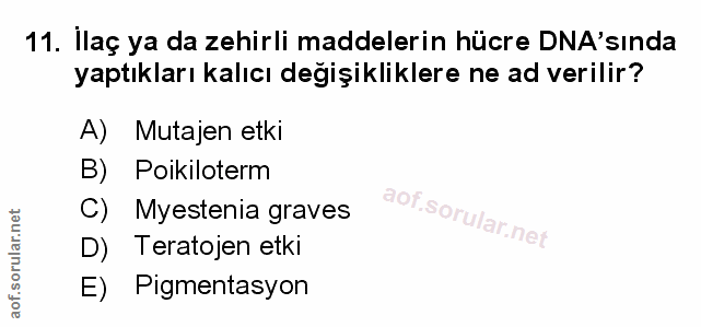 Soru 11