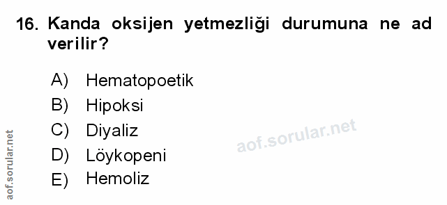 Soru 16