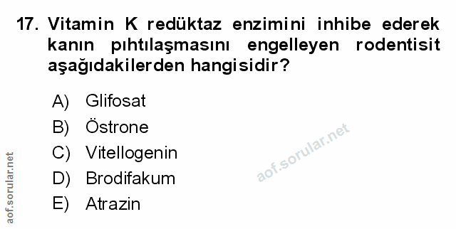 Soru 17