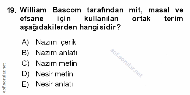 Soru 19
