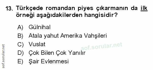 Soru 13