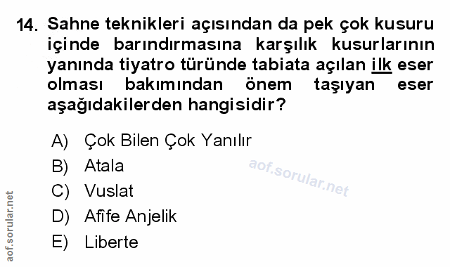 Soru 14
