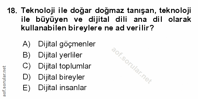 Soru 18