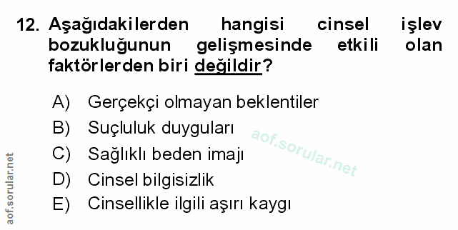 Soru 12