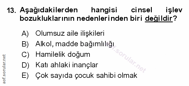 Soru 13