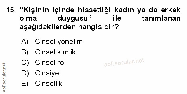 Soru 15