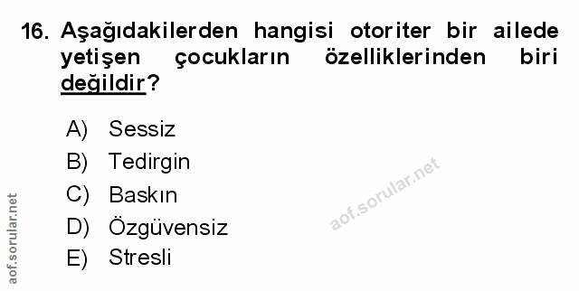 Soru 16