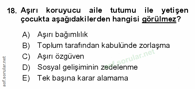 Soru 18