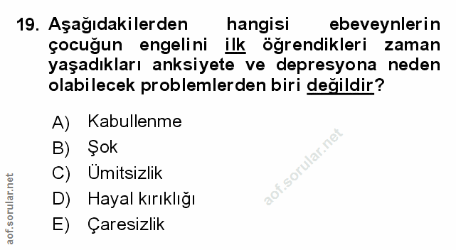 Soru 19