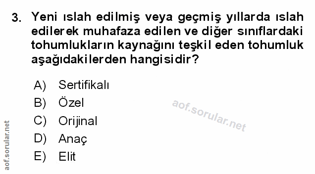Soru 3