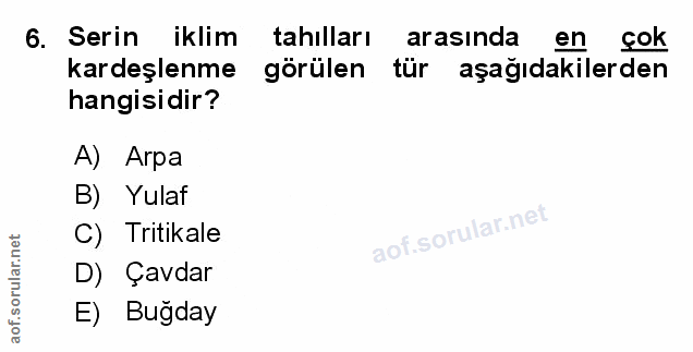 Soru 6
