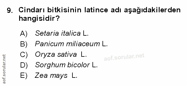 Soru 9