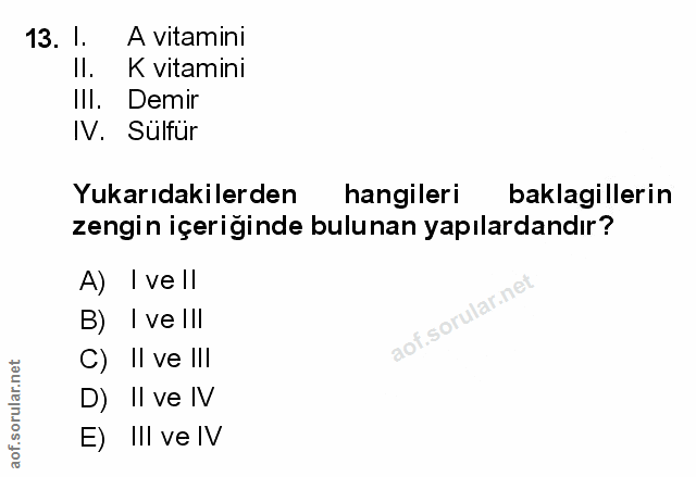 Soru 13
