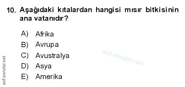 Soru 10
