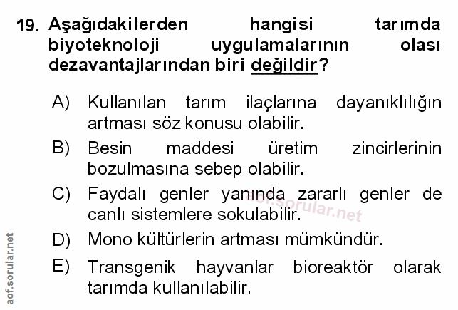 Soru 19