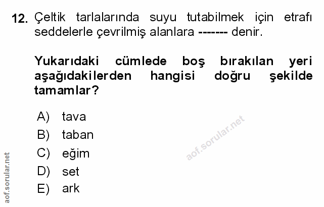 Soru 12
