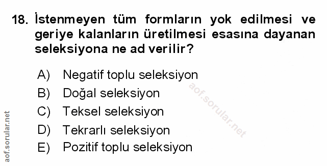 Soru 18