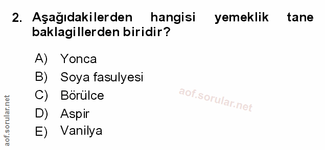 Soru 2