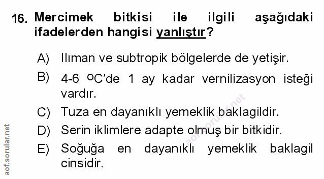 Soru 16