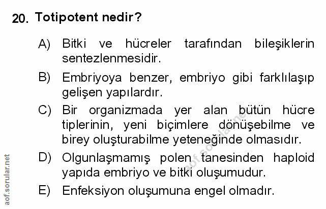 Soru 20