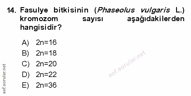 Soru 14