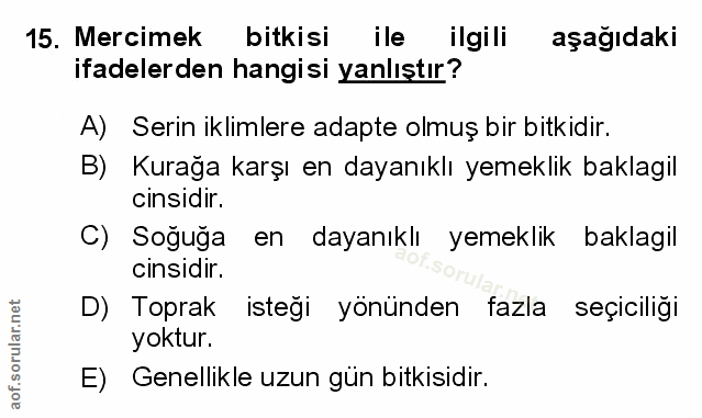 Soru 15