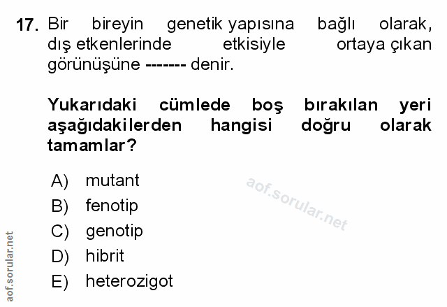 Soru 17