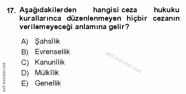 Soru 17