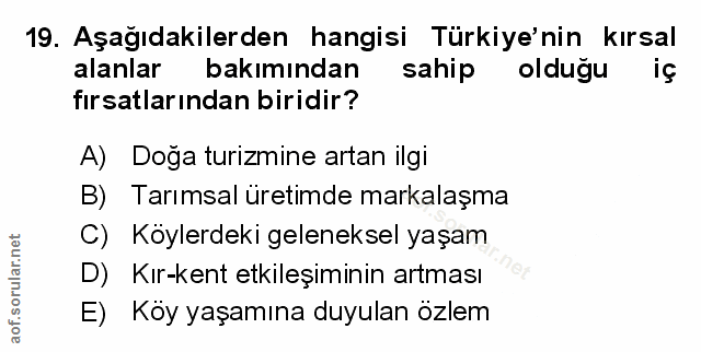 Soru 19