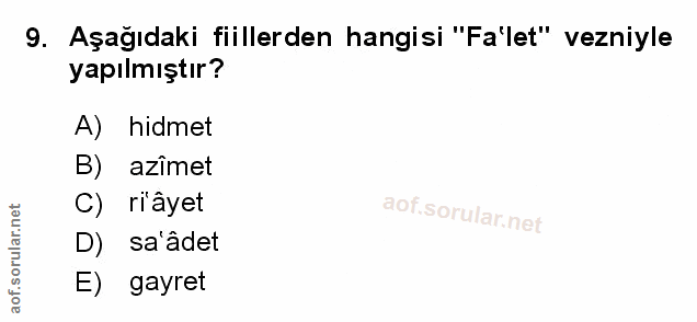 Soru 9