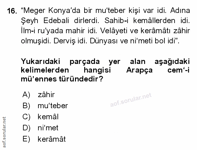 Soru 16