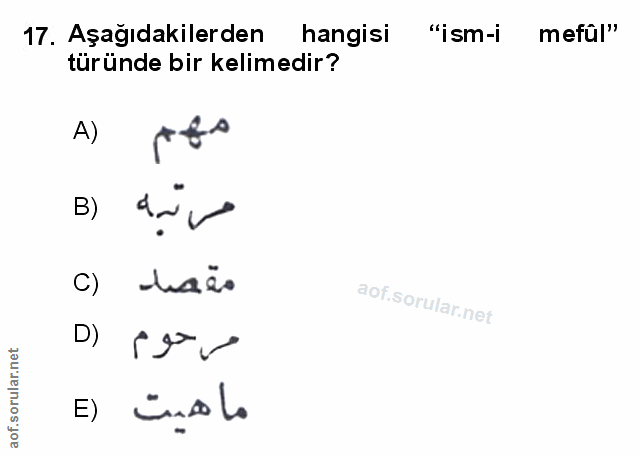 Soru 17