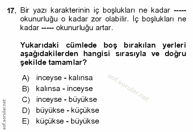 Soru 17