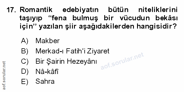 Soru 17