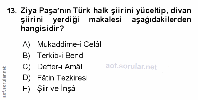 Soru 13