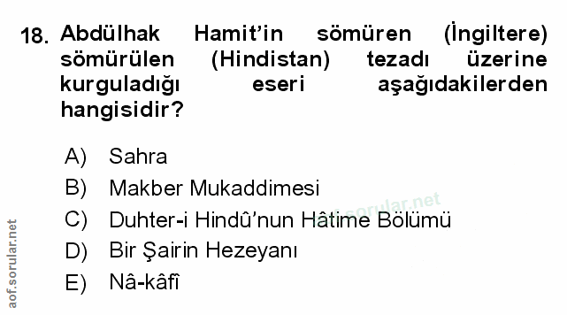 Soru 18