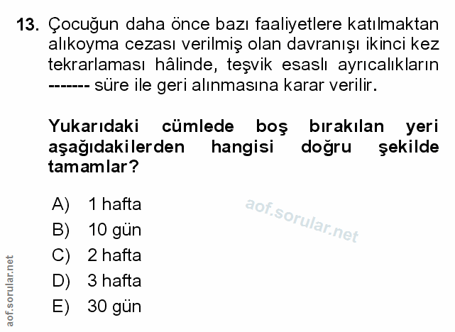 Soru 13