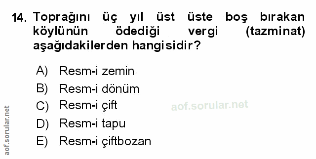 Soru 14