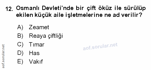 Soru 12