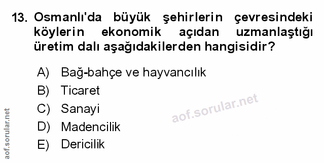 Soru 13