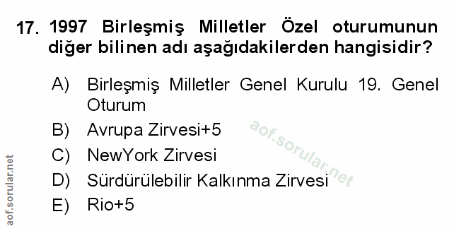 Soru 17
