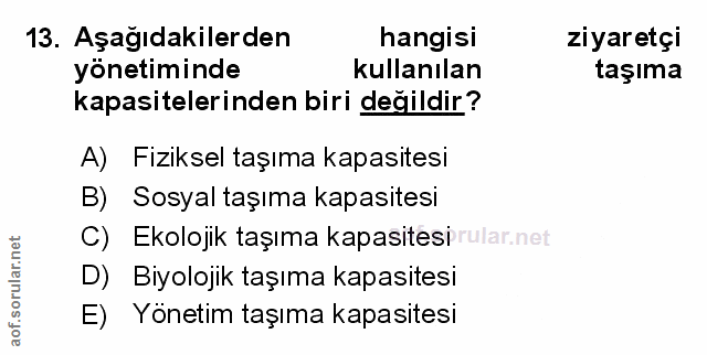 Soru 13
