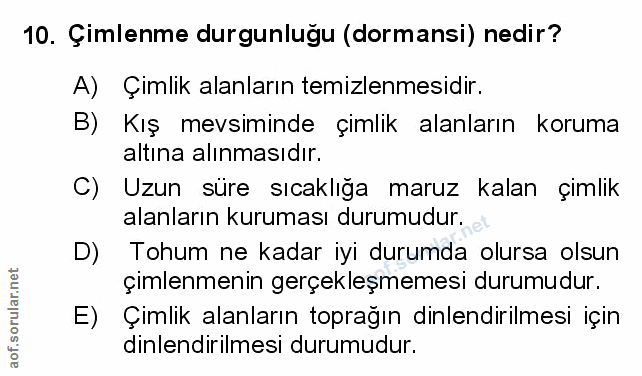 Soru 10