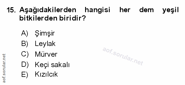 Soru 15