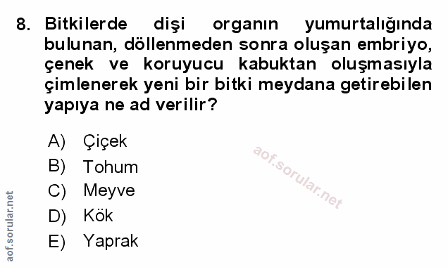 Soru 8