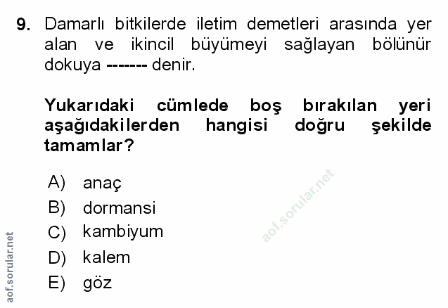 Soru 9