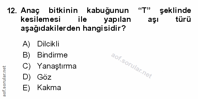 Soru 12