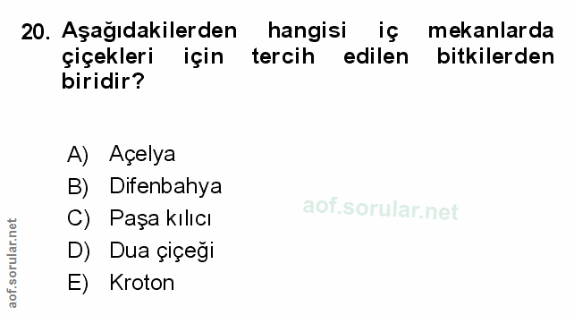 Soru 20